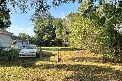 Land in Lakeland, Florida № 1630138 - photo 2