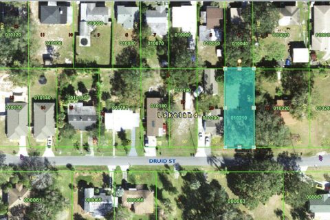 Land in Lakeland, Florida № 1630138 - photo 3