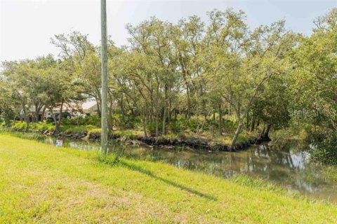 Land in Saint Augustine, Florida № 1803545 - photo 7