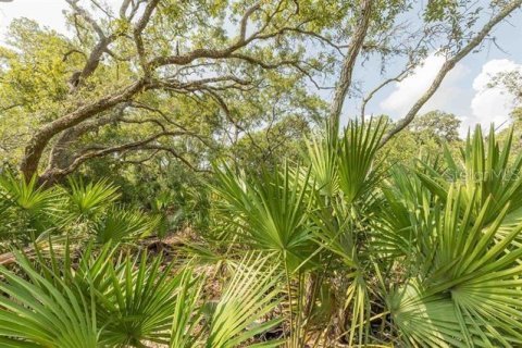 Land in Saint Augustine, Florida № 1803545 - photo 15