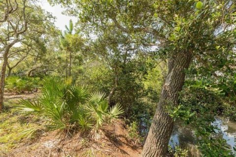 Land in Saint Augustine, Florida № 1803545 - photo 14
