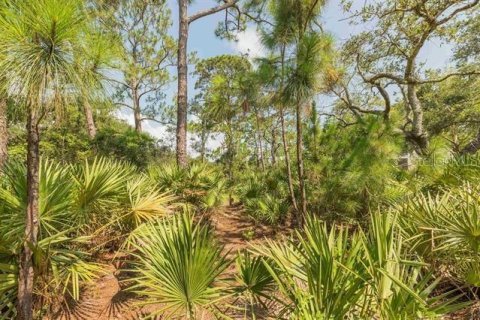 Land in Saint Augustine, Florida № 1803545 - photo 16