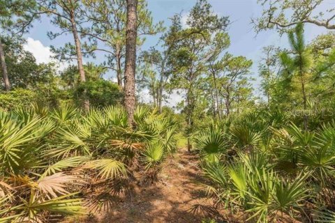 Land in Saint Augustine, Florida № 1803545 - photo 17