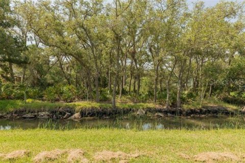 Land in Saint Augustine, Florida № 1803545 - photo 4