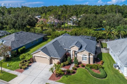 House in Tampa, Florida 4 bedrooms, 224.45 sq.m. № 1885045 - photo 3