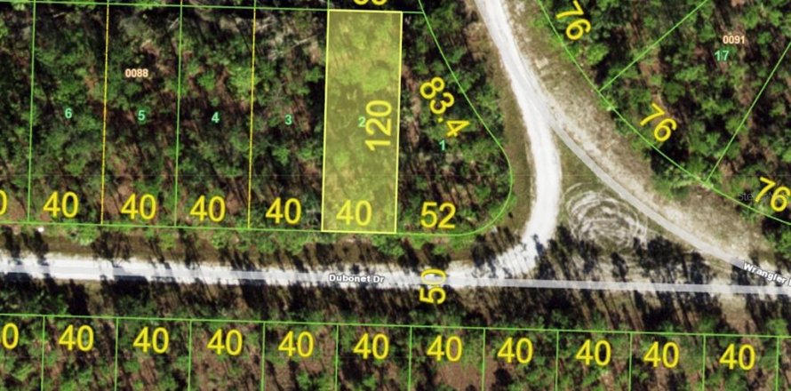 Terrain à Punta Gorda, Floride № 2258676