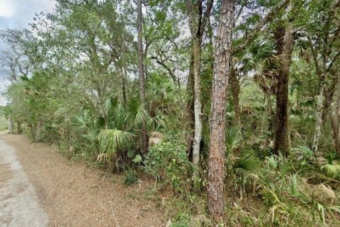Terreno en venta en Homosassa, Florida № 1750955 - foto 7