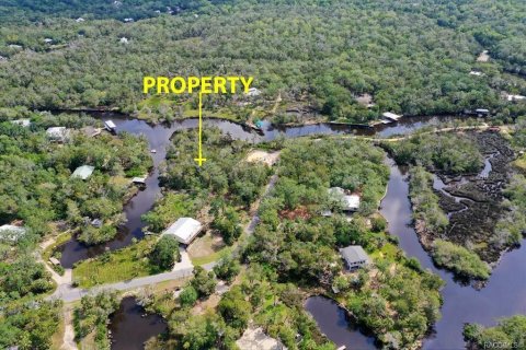 Terreno en venta en Homosassa, Florida № 1750955 - foto 4