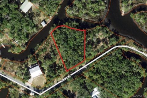 Terreno en venta en Homosassa, Florida № 1750955 - foto 5