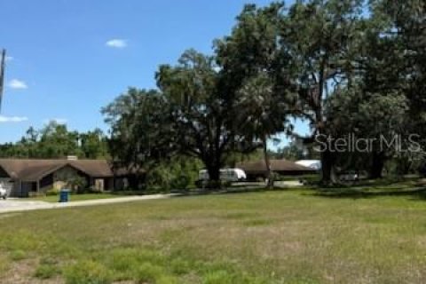 Land in Fort Meade, Florida № 1717502 - photo 4