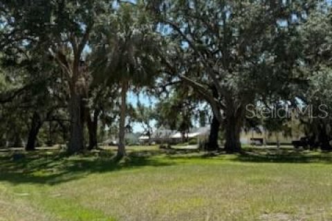Land in Fort Meade, Florida № 1717502 - photo 5