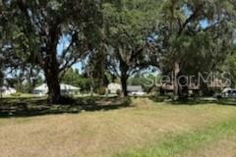 Land in Fort Meade, Florida № 1717502 - photo 1