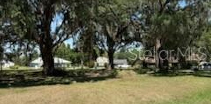Land in Fort Meade, Florida № 1717502