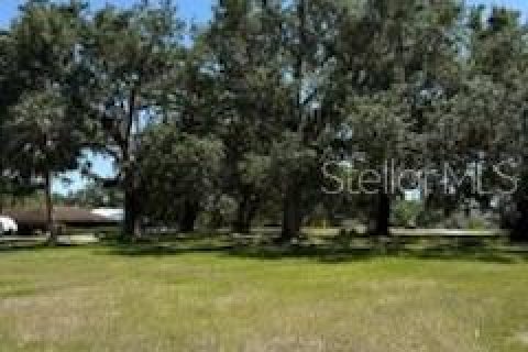 Land in Fort Meade, Florida № 1717502 - photo 3