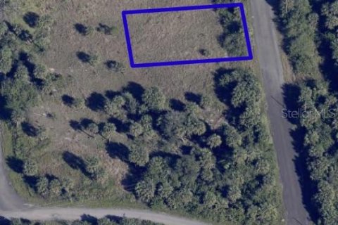Land in Palm Bay, Florida № 2162876 - photo 5