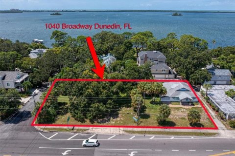 Immobilier commercial à Dunedin, Floride № 2108573