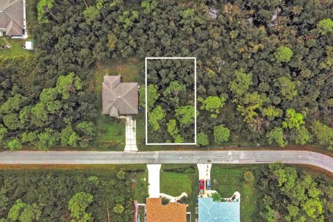 Land in North Port, Florida № 2164337 - photo 2