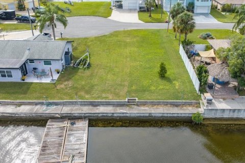 Land in Hernando Beach, Florida № 2384302 - photo 3