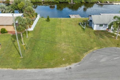 Land in Hernando Beach, Florida № 2384302 - photo 2