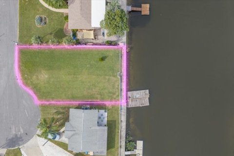 Land in Hernando Beach, Florida № 2384302 - photo 4