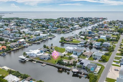 Land in Hernando Beach, Florida № 2384302 - photo 9