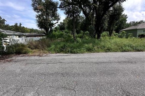 Appartement à louer à Leesburg, Floride: 2 chambres, 65.03 m2 № 2415477 - photo 6