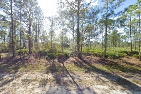 Terreno en venta en Indian lake estates, Florida № 1534085 - foto 2