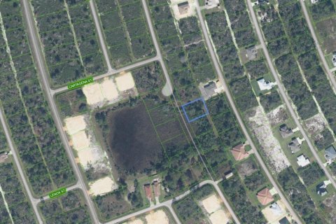Land in Sebring, Florida № 2158657 - photo 2