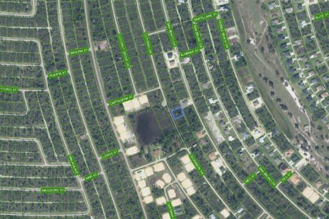 Land in Sebring, Florida № 2158657 - photo 3