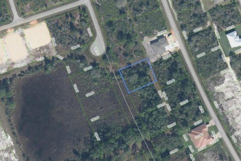 Land in Sebring, Florida № 2158657