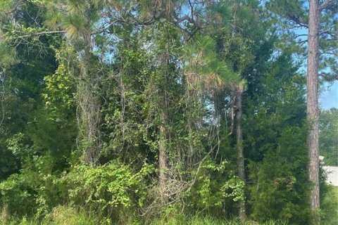 Land in Palm Coast, Florida № 1832228 - photo 5