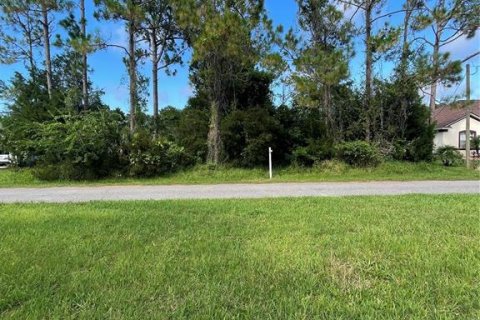 Land in Palm Coast, Florida № 1832228 - photo 2