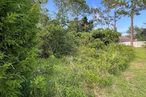 Land in Palm Coast, Florida № 1832228 - photo 4