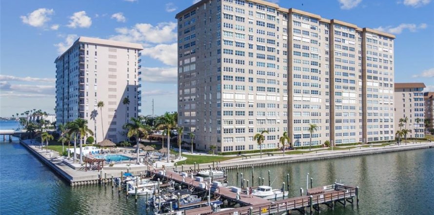 Condo à Saint Petersburg, Floride, 1 chambre  № 2413462