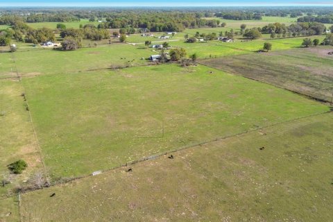 Land in Oxford, Florida № 2101897 - photo 8