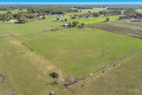 Land in Oxford, Florida № 2101897 - photo 6