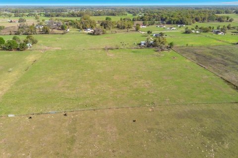 Land in Oxford, Florida № 2101897 - photo 7