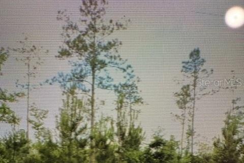Land in Bunnell, Florida № 2226994