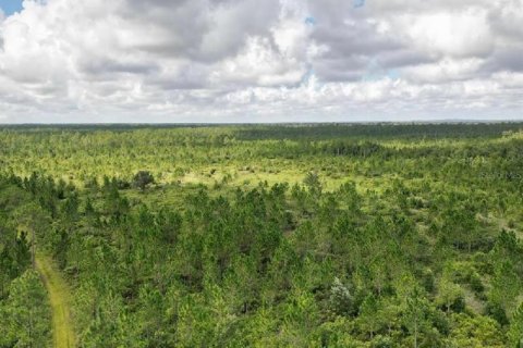 Terreno en venta en Kissimmee, Florida № 1880929 - foto 1