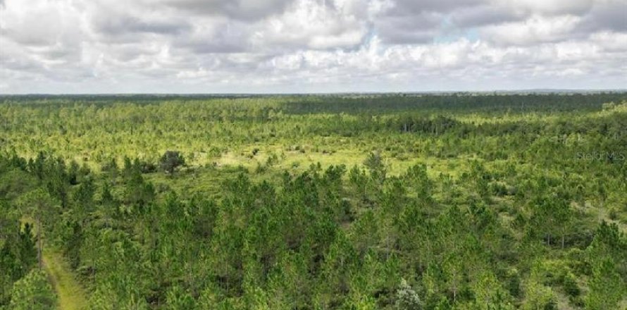 Terreno en Kissimmee, Florida № 1880929