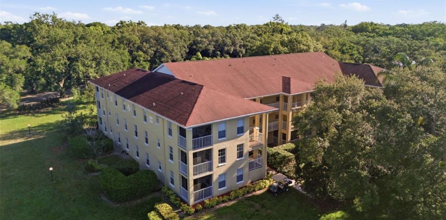Condo in Palm Harbor, Florida, 2 bedrooms  № 2215937