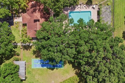 Condo in Palm Harbor, Florida, 2 bedrooms  № 2215937 - photo 27