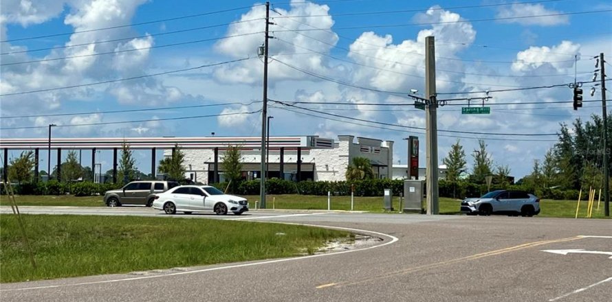 Land in Brooksville, Florida № 1893837