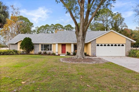 House in Mount Dora, Florida 4 bedrooms, 219.53 sq.m. № 2099861
