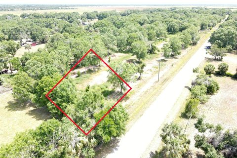 Propiedad comercial en venta en Okeechobee, Florida № 2146752 - foto 3