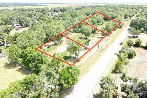Propiedad comercial en venta en Okeechobee, Florida № 2146752 - foto 4