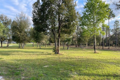 Villa ou maison à vendre à Weirsdale, Floride: 2 chambres, 135.45 m2 № 1550793 - photo 30