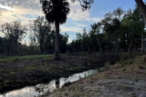 Villa ou maison à vendre à Weirsdale, Floride: 2 chambres, 135.45 m2 № 1550793 - photo 28
