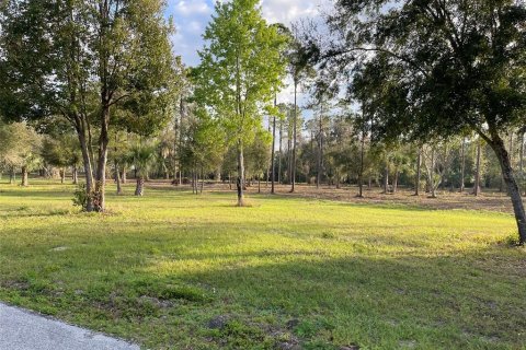 Villa ou maison à vendre à Weirsdale, Floride: 2 chambres, 135.45 m2 № 1550793 - photo 29