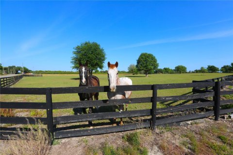 Villa ou maison à vendre à Weirsdale, Floride: 2 chambres, 135.45 m2 № 1550793 - photo 27